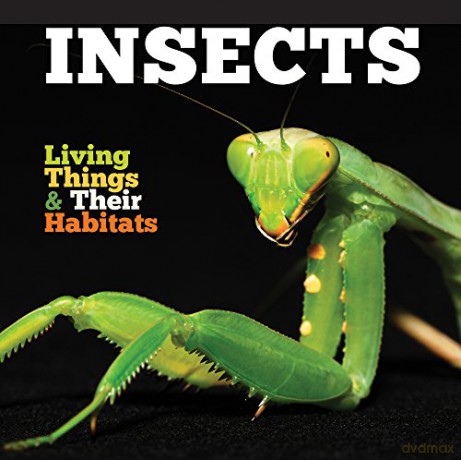 Insects (Living Things and Their Habitats) - Grace Jones [KSIĄŻKA]