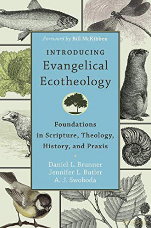Introducing Evangelical Ecotheology: Foundations in Scripture, Theology, History, and Praxis - Daniel Brunner [KSIĄŻKA]