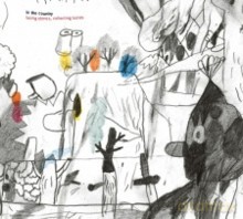 In The Country: Losing Stones, Collecting Bones [CD]