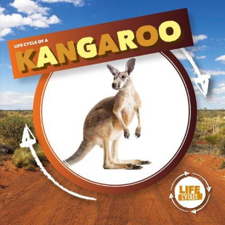 Kangaroo (Life Cycle Of A) - Kirsty Holmes [KSIĄŻKA]