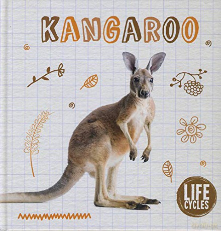 Kangaroo (Life Cycles) - Shalini Vallepur [KSIĄŻKA]