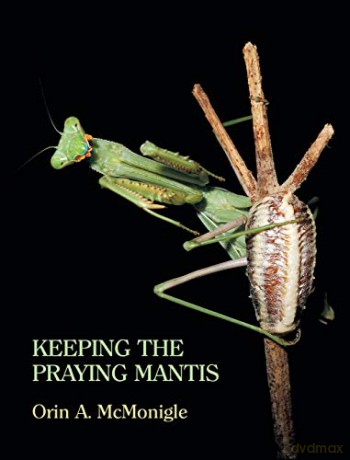 Keeping the Praying Mantis: Mantodean Captive Biology, Reproduction, and Husbandry - Orin McMonigle [KSIĄŻKA]