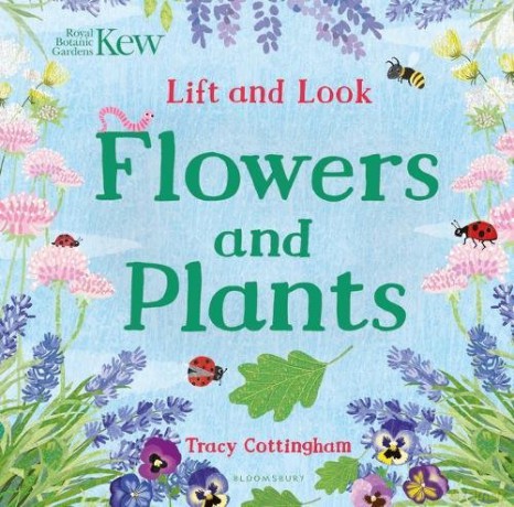 Kew: Lift and Look Flowers and Plants (Bloomsbury Activity Books) - Tracy Cottingham [KSIĄŻKA]