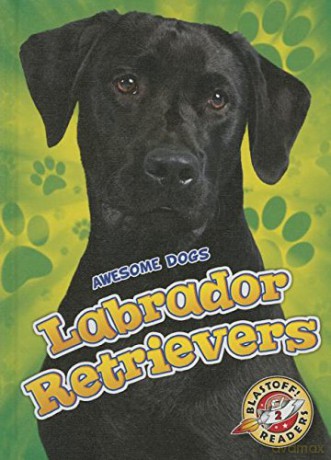 Labrador Retrievers Labrador Retrievers (Awesome Dogs) - Chris Bowman [KSIĄŻKA]