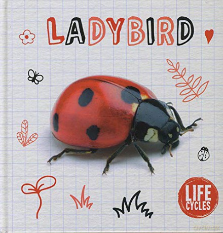 Ladybird (Life Cycles) - Shalini Vallepur [KSIĄŻKA]