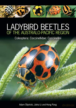 Ladybird Beetles of the Australo-Pacific Region: Coleoptera: Coccinellidae: Coccinellini - Adam Slipinski [KSIĄŻKA]