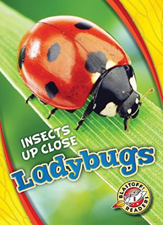 Ladybugs (Insects Up Close) - Christina Leaf [KSIĄŻKA]