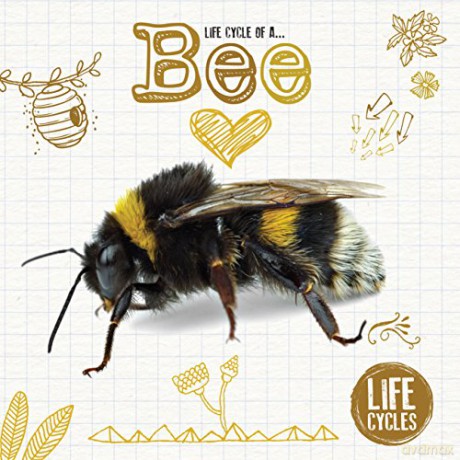 Life cycle of a honey bee (Life Cycles) - Kirsty Holmes [KSIĄŻKA]