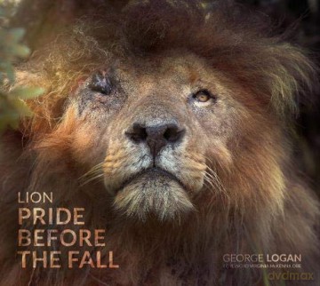 Lion: Pride Before the Fall - McKenna OBE [KSIĄŻKA]
