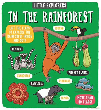 Little Explorers: In the Rainforest - Dynamo Ltd. [KSIĄŻKA]