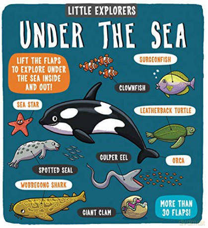 Little Explorers: Under the Sea - Dynamo Ltd. [KSIĄŻKA]