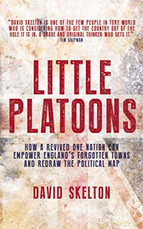 Little Platoons: How a revived One Nation can empower England's forgotten towns and redraw the political map - David Skelton [KSIĄŻKA]