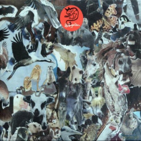 Snöleoparden: Snöleoparden [CD]