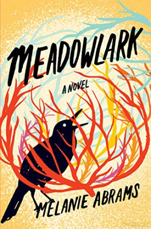 Meadowlark: A Novel - Melanie Abrams [KSIĄŻKA]