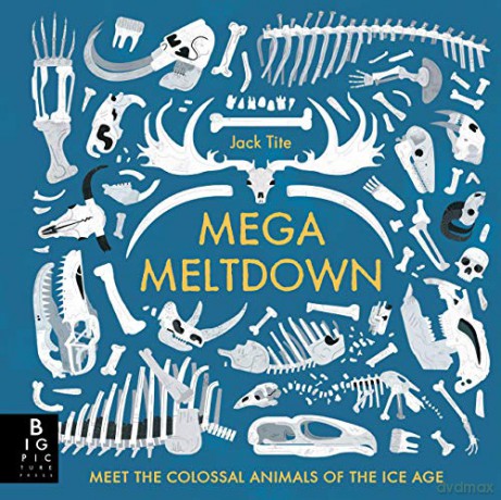 Mega Meltdown - Jack Tite [KSIĄŻKA]