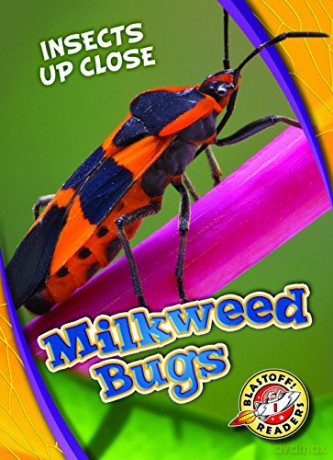 Milkweed Bugs (Insects Up Close) - Patrick Perish [KSIĄŻKA]