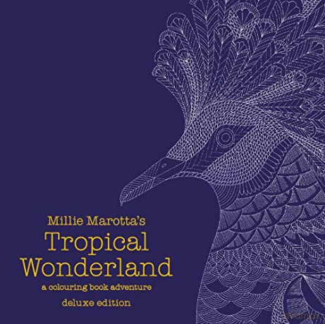 Millie Marotta's Tropical Wonderland Deluxe Edition: A Colouring Book Adventure (Colouring Books): 14 - Millie Marotta [KSIĄŻKA]