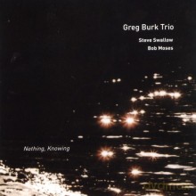 Greg Burk Trio: Nothing, Knowing [CD]