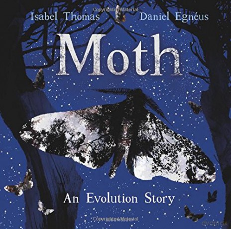 Moth - Isabel Thomas [KSIĄŻKA]
