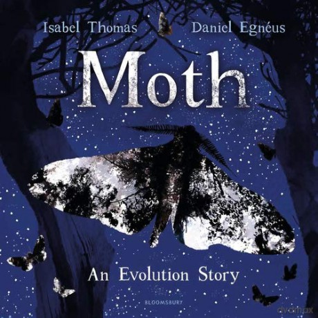 Moth - Isabel Thomas [KSIĄŻKA]
