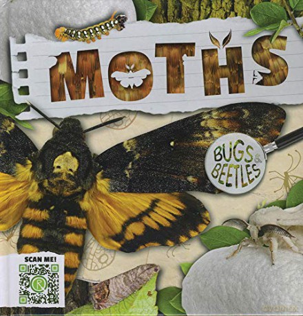 Moths (Bugs and Beetles) - John Wood [KSIĄŻKA]