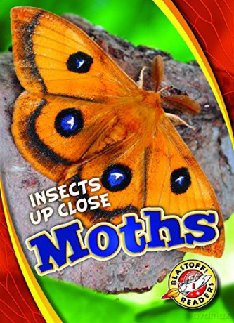 Moths (Insects Up Close) - Patrick Perish [KSIĄŻKA]