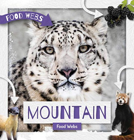 Mountain Food Webs - Harriet Brundle [KSIĄŻKA]