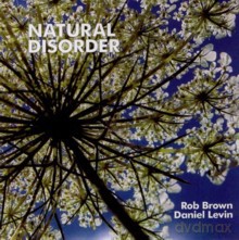 Rob Brown, Daniel Levin: Natural Disorder [CD]