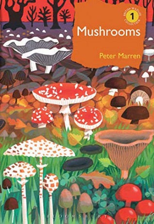 Mushrooms: The natural and human world of British fungi (British Wildlife Collection) - Peter Marren [KSIĄŻKA]