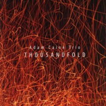 Adam Caine Trio: Thousandfold [CD]