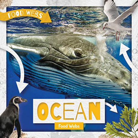 Ocean Food Webs - Harriet Brundle [KSIĄŻKA]