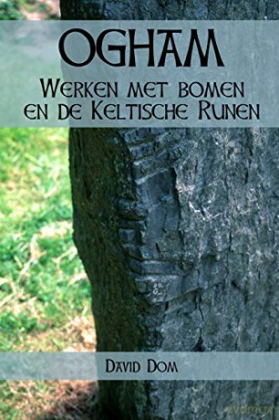 Ogham: Werken met Bomen en de Keltische Runen - David Dom [KSIĄŻKA]