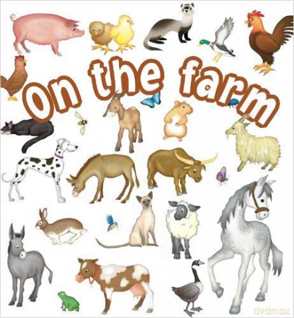 On the Farm (Lots of Animals) - Rebecca Elliott [KSIĄŻKA]