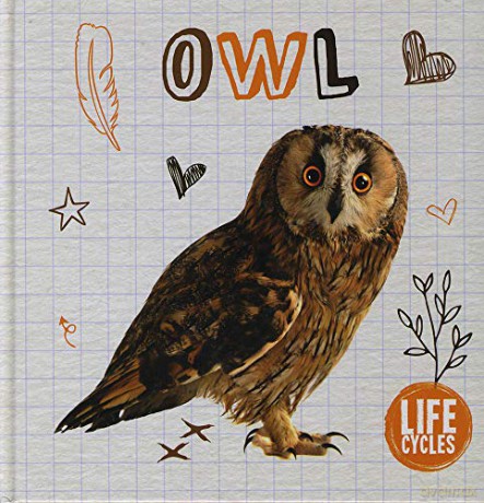 Owl (Life Cycles) - Alex Brinded [KSIĄŻKA]