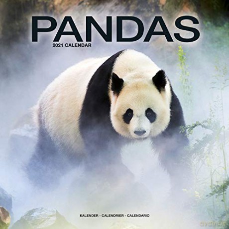 Pandas 2021 Calendar (Square) [KSIĄŻKA]
