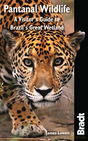 Pantanal Wildlife: A Visitor's Guide to Brazil's Great Wetland (Bradt Travel Guides (Wildlife Guides)) - James Lowen [KSIĄŻKA]