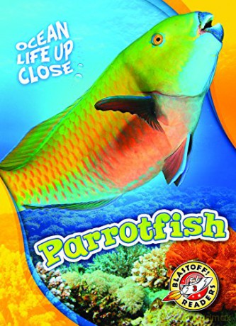 Parrotfish (Ocean Life Up Close) - Mari C Schuh [KSIĄŻKA]