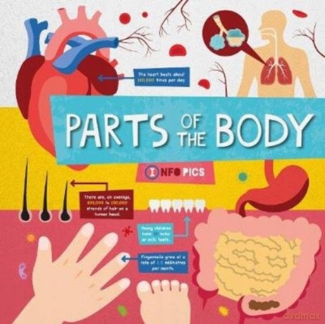 Parts of the Body (InfoPics) - Harriet Brundle [KSIĄŻKA]
