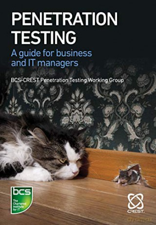 Penetration Testing: A guide for business and IT managers - BCS-CREST Penetratation Testing Working Group [KSIĄŻKA]