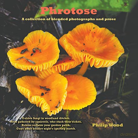 Phrotose:A collection of blended photographs and prose - Philip Wood [KSIĄŻKA]