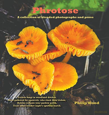 Phrotose:A collection of blended photographs and prose - Philip Wood [KSIĄŻKA]