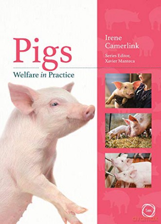 Pigs Welfare in Practice (Animal Welfare in Practice Series) - Irene Camerlink [KSIĄŻKA]