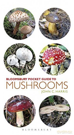 Pocket Guide to Mushrooms (Pocket Guides) - John C. Harris [KSIĄŻKA]