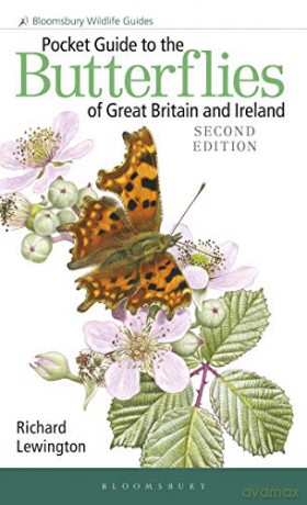 Pocket Guide to the Butterflies of Great Britain and Ireland (Field Guides) - Richard Lewington [KSIĄŻKA]
