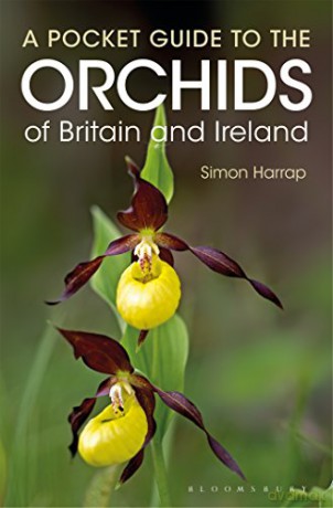 Pocket Guide to the Orchids of Britain and Ireland - Simon Harrap [KSIĄŻKA]