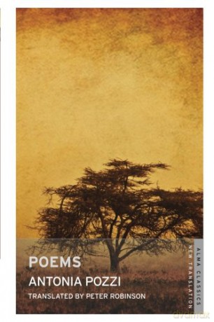 Poems - Antonia Pozzi [KSIĄŻKA]