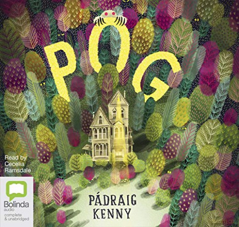 Pog - Pádraig Kenny [KSIĄŻKA]