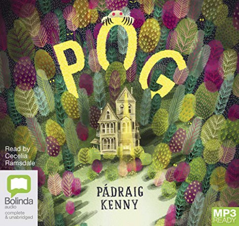 Pog - Pádraig Kenny [KSIĄŻKA]