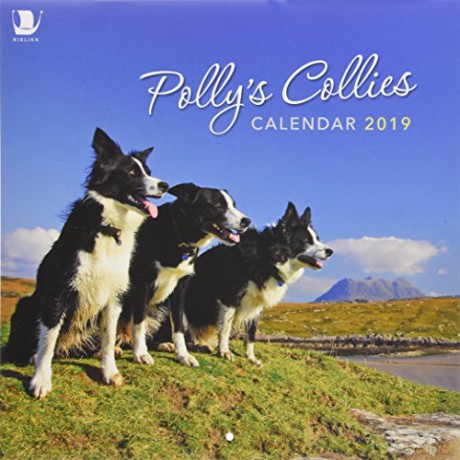 Polly's Collies Calendar 2019 (Calendars 2019) - Polly Pullar [KSIĄŻKA]