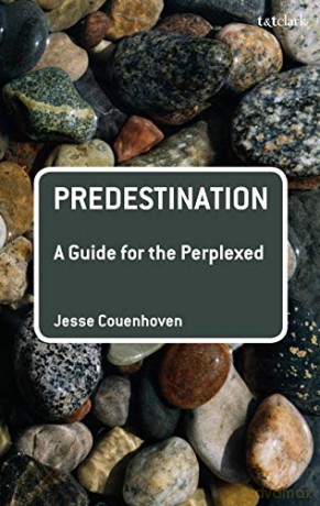Predestination: A Guide for the Perplexed (Guides for the Perplexed) - Jesse Couenhoven [KSIĄŻKA]